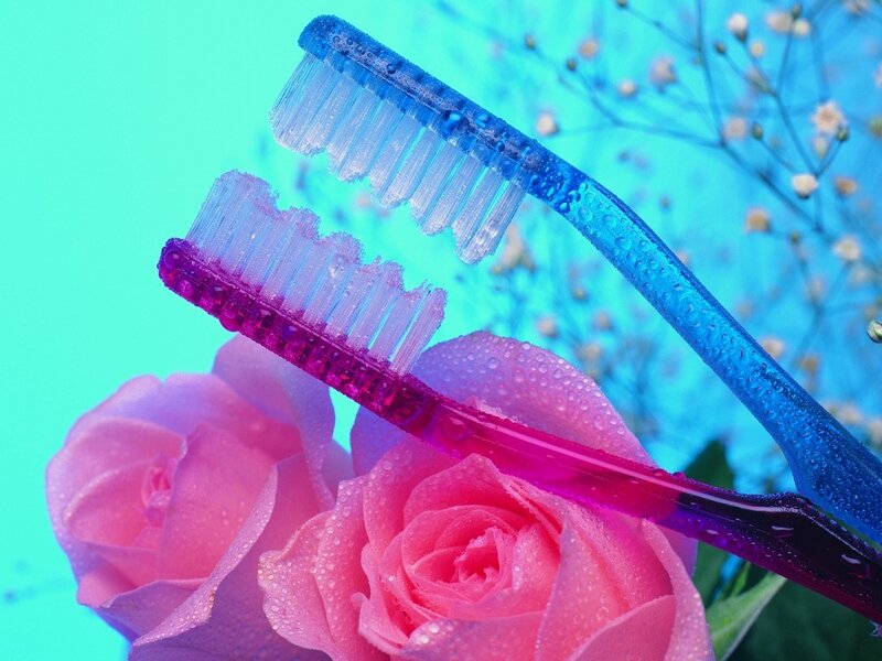 Two Toothbrushes and Roses