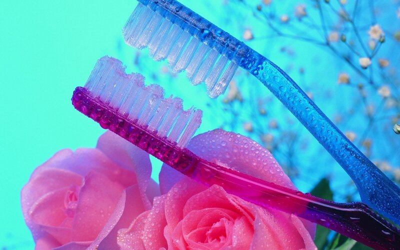 Two Toothbrushes on Roses — Pink