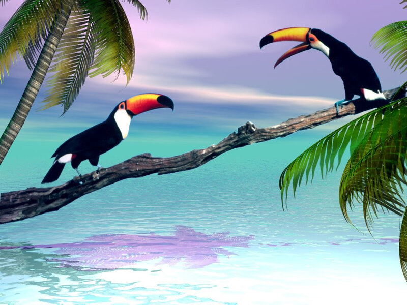 Two Toucans on Branch — Blue