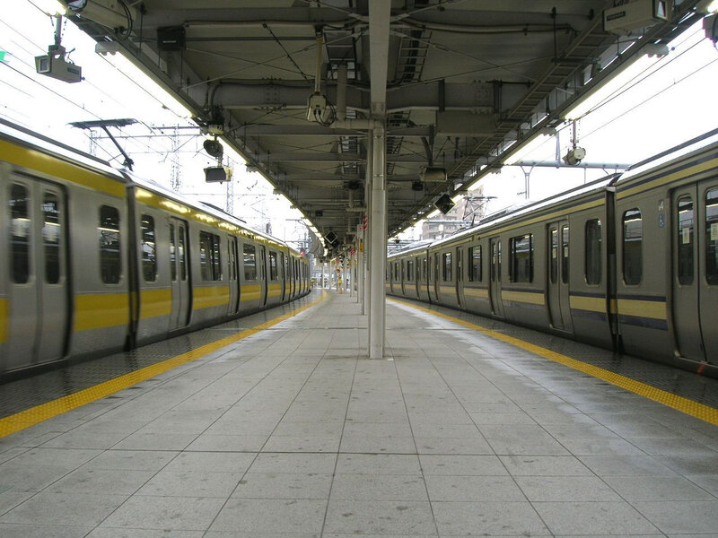 Two Trains on Platform