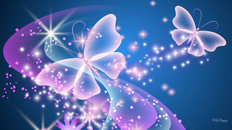 Two Translucent Butterflies
