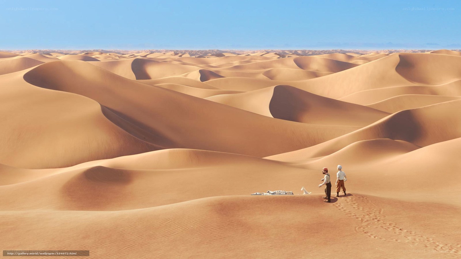 Two travelers in a vast desert