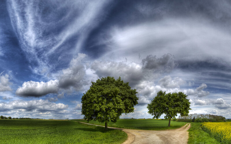Two Trees at Crossroads — Dramatic