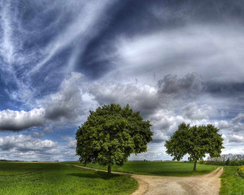 Two Trees at Crossroads — Green, Dramatic, Afternoon, Photograph, Field, Path, Clouds, Blue