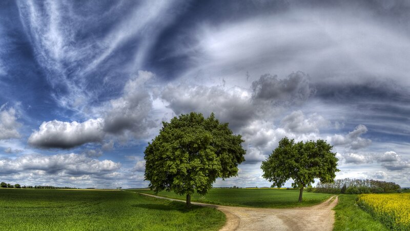 Two Trees at Crossroads — Green, Dramatic, Afternoon, Photograph, Field, Path, Clouds, Blue, White