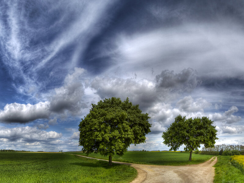 Two Trees at Crossroads — Green