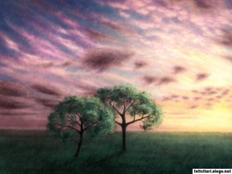 Two trees at sunset