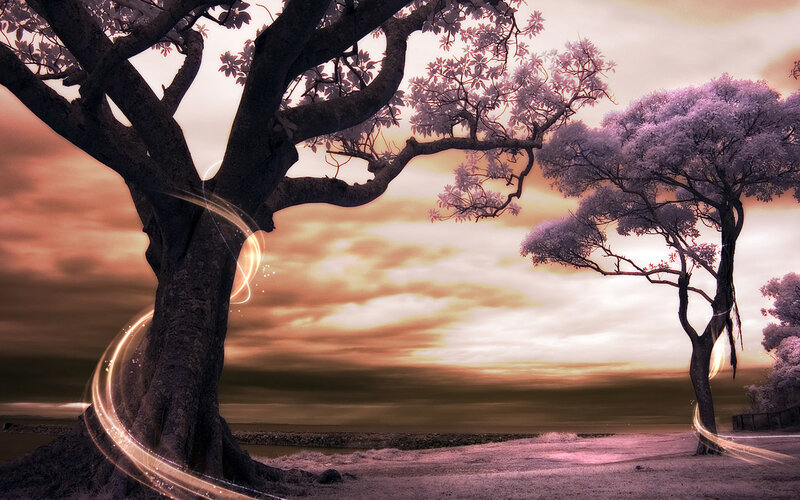 Two Trees at Sunset — Purple, Serene, Digital Art, Sky, Ground