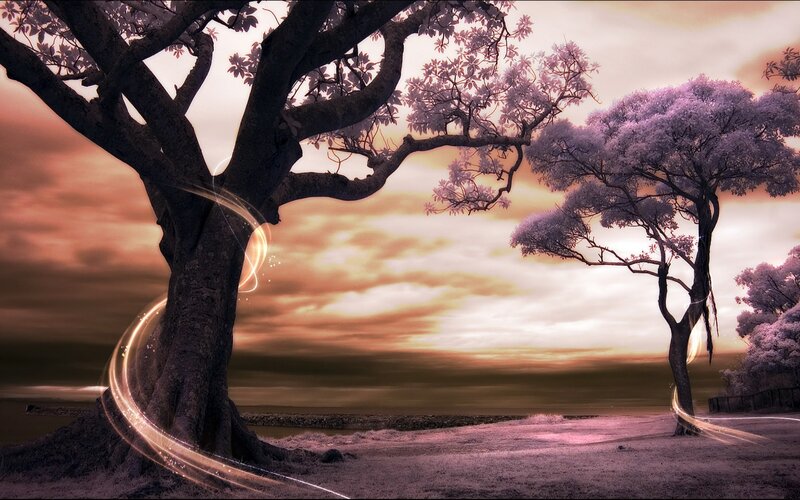 Two Trees at Sunset — Purple, Serene, Digital Art, Sky