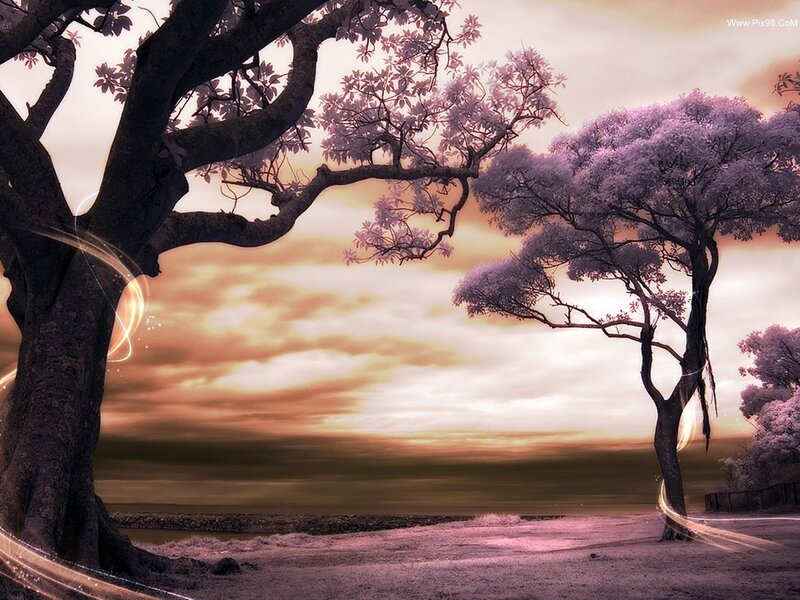 Two Trees at Sunset — Purple, Serene, Digital Art