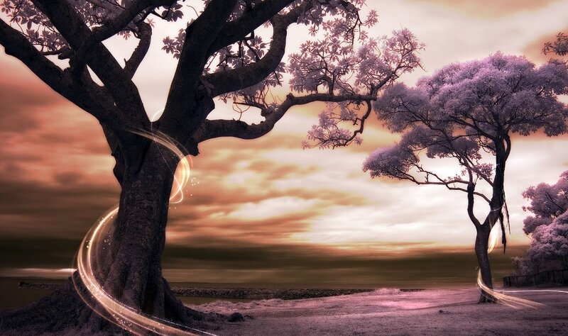Two Trees at Sunset — Purple