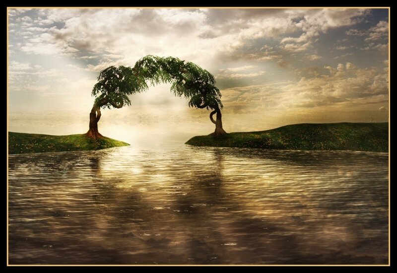 Two Trees Forming an Arch