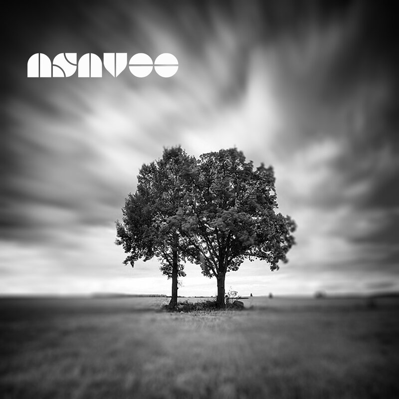 Two trees in a field