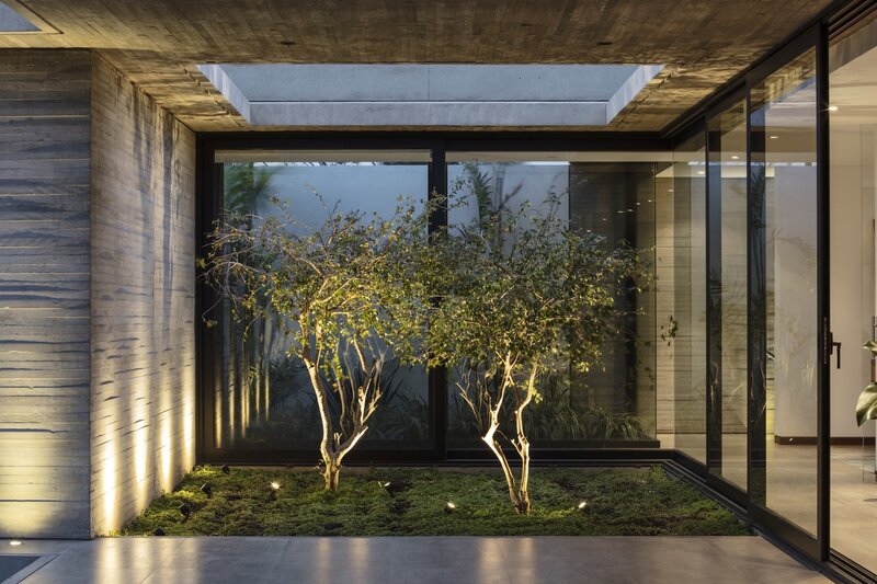 Two Trees in Courtyard