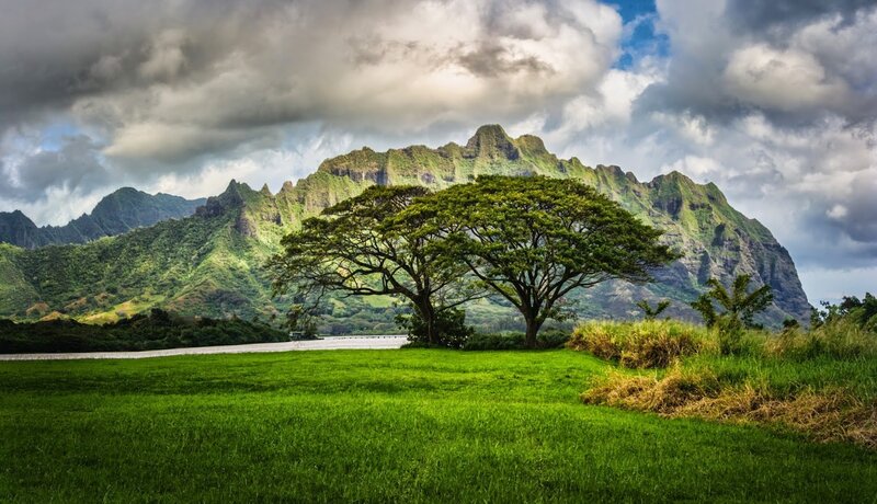 Two Trees in Field — Green, Dramatic, Afternoon, Photograph, Mountains