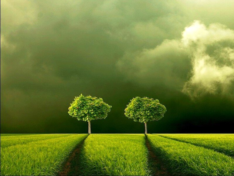 Two Trees in Field — Green, Dramatic, Digital Art