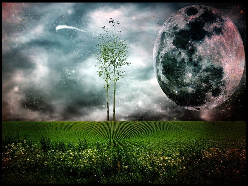 Two Trees in Field — Green, Dramatic, Night