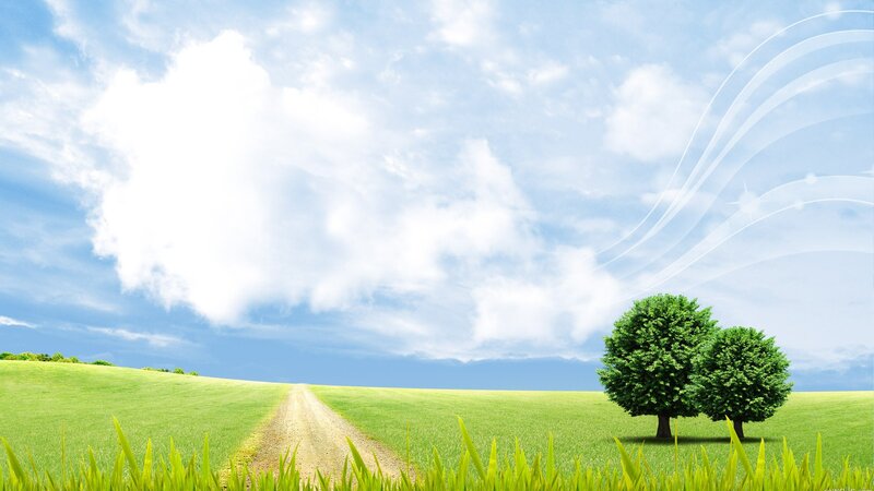 Two Trees in Field — Green, Serene, Afternoon, Digital Art, Path