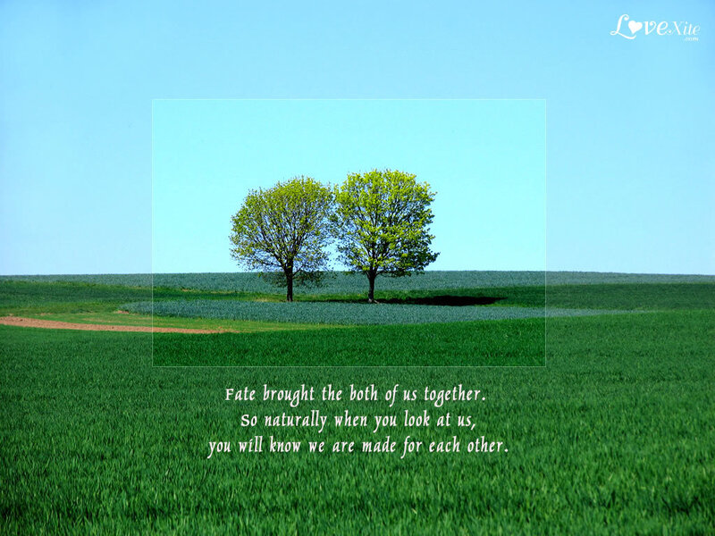 Two Trees in Field — Green, Serene, Spring, Photograph