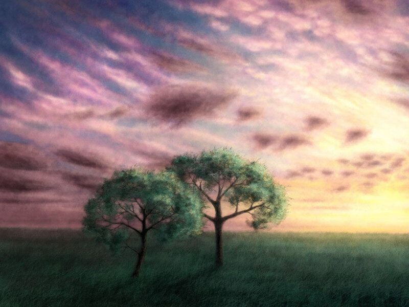 Two Trees in Field — Green, Serene, Sunset