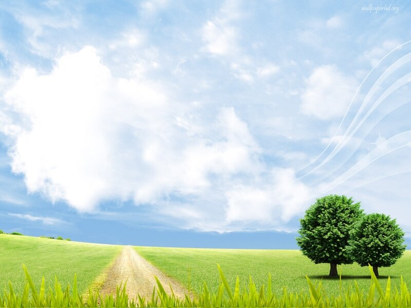 Two Trees in Field — Green