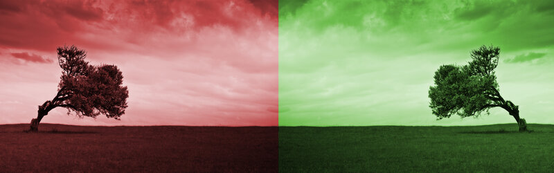Two trees in red and green