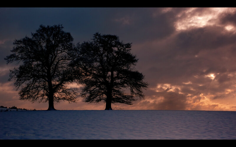 Two Trees in Snow at Sunset