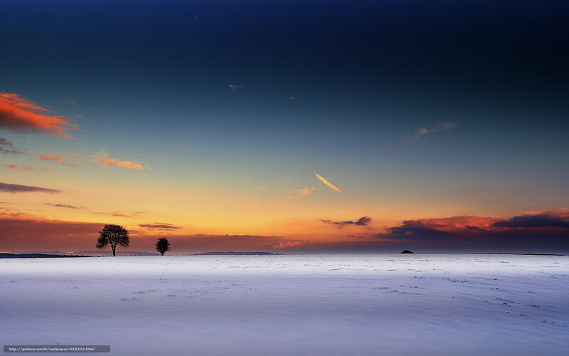 Two Trees in Snow — Blue, Serene, Sunset