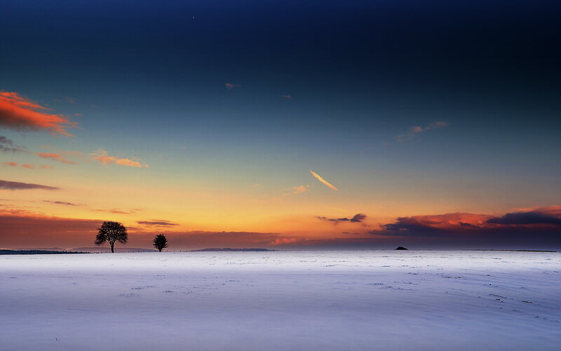 Two Trees in Snow — Blue