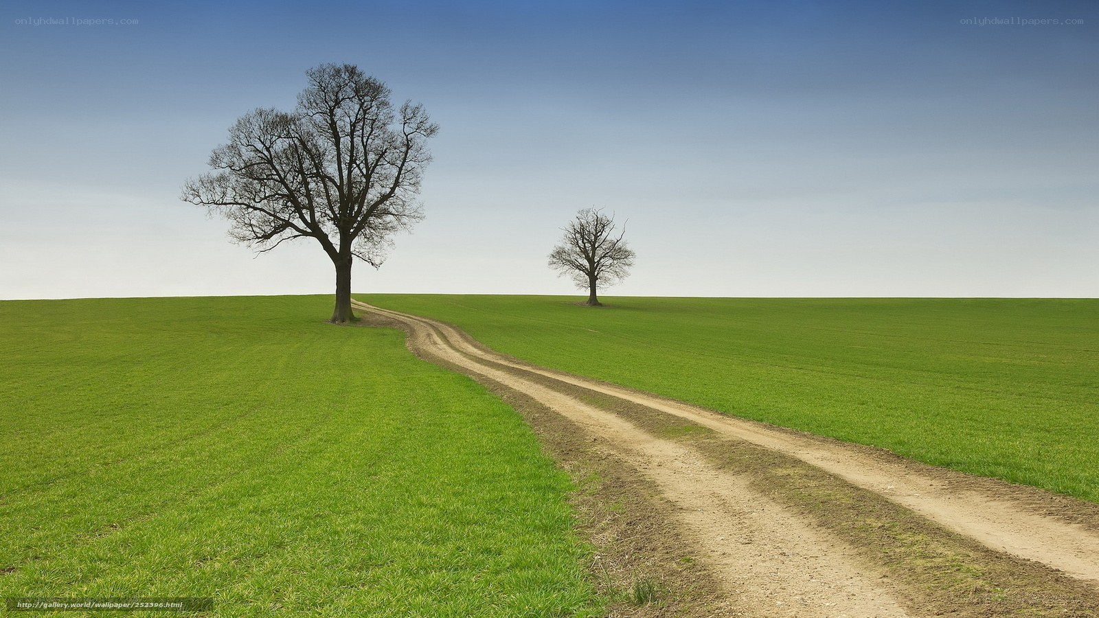 Two trees on a green field