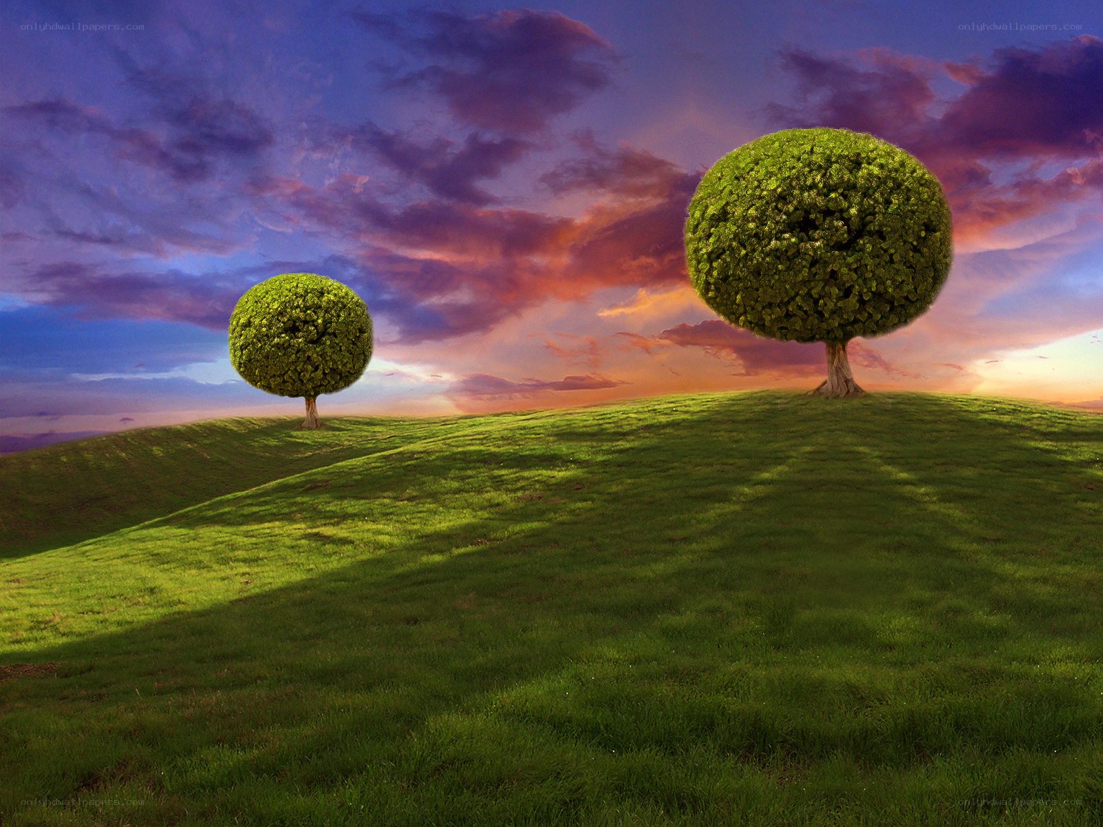 Two trees on a green hill