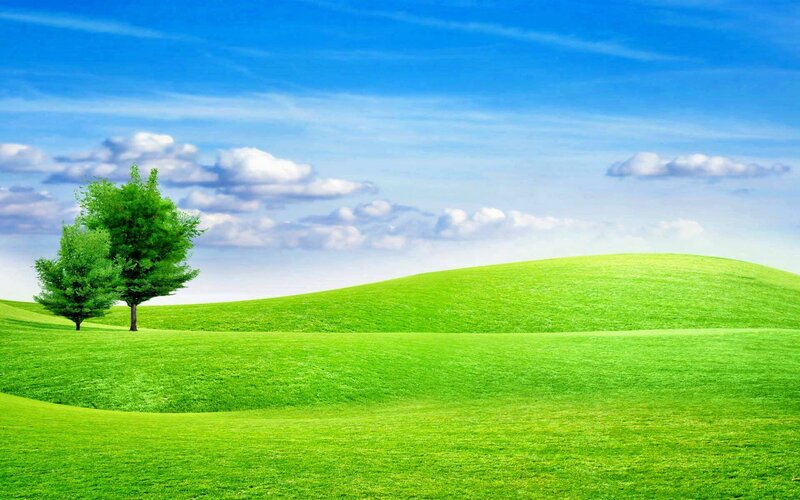 Two Trees on a Hill — Green