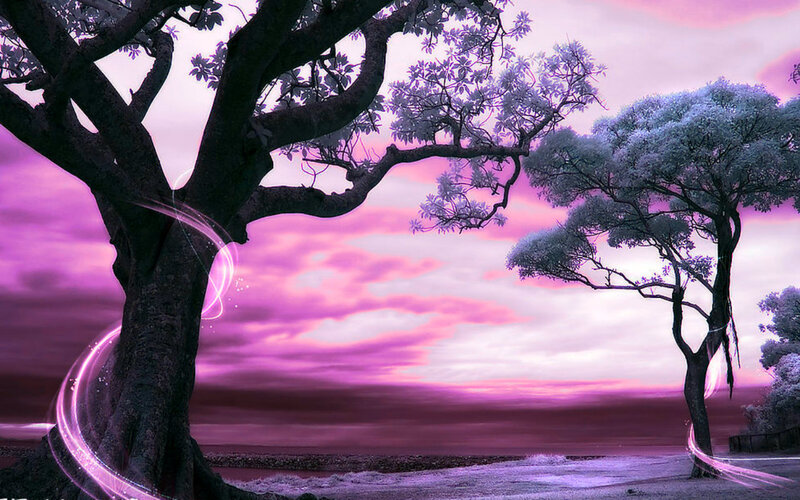 Two Trees on Beach — Purple