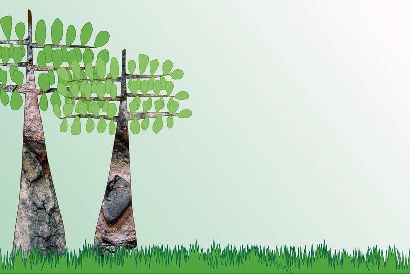 Two trees on green grass