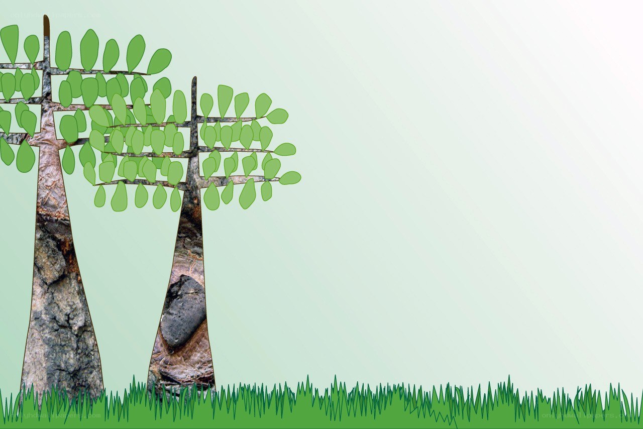 Two trees on green grass