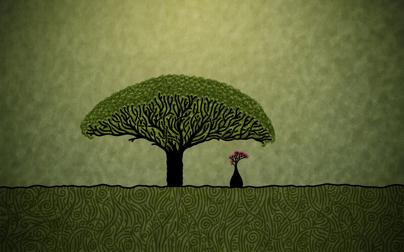 Two Trees on Ground