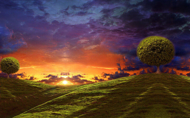 Two Trees on Hills — Green, Dramatic
