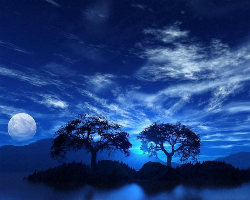Two Trees on Island — Blue, Serene, Night