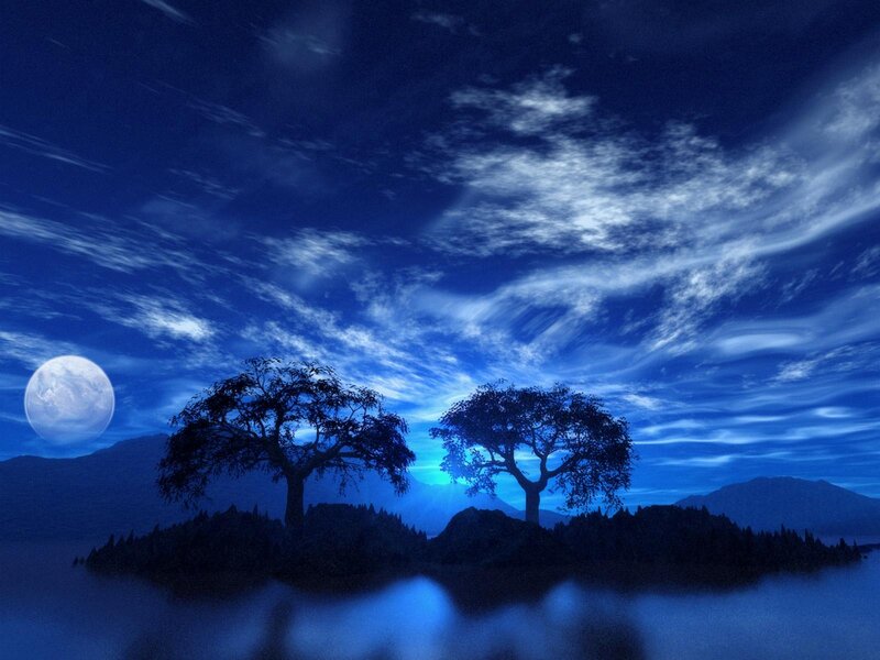 Two Trees on Island — Blue