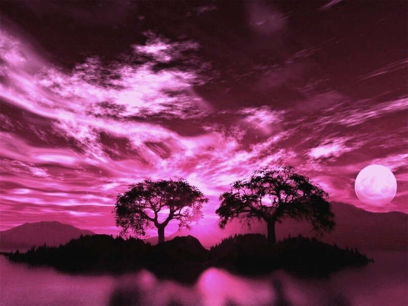 Two Trees on Island — Purple