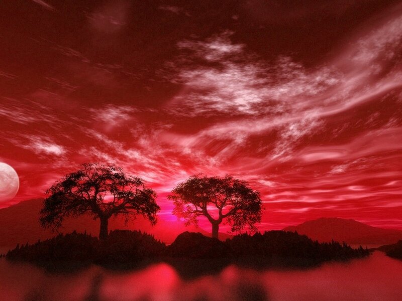 Two Trees on Island — Red