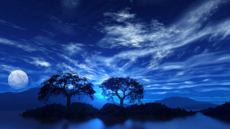 Two Trees on Island