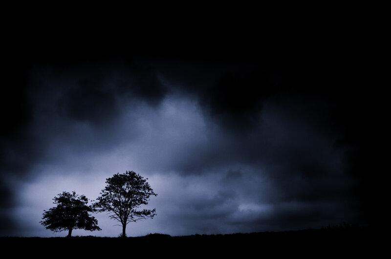 Two Trees Silhouette