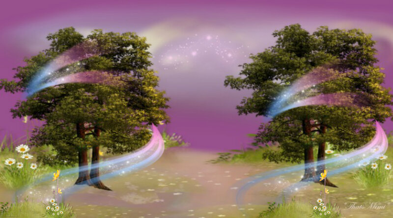 Two Trees with Light Trails