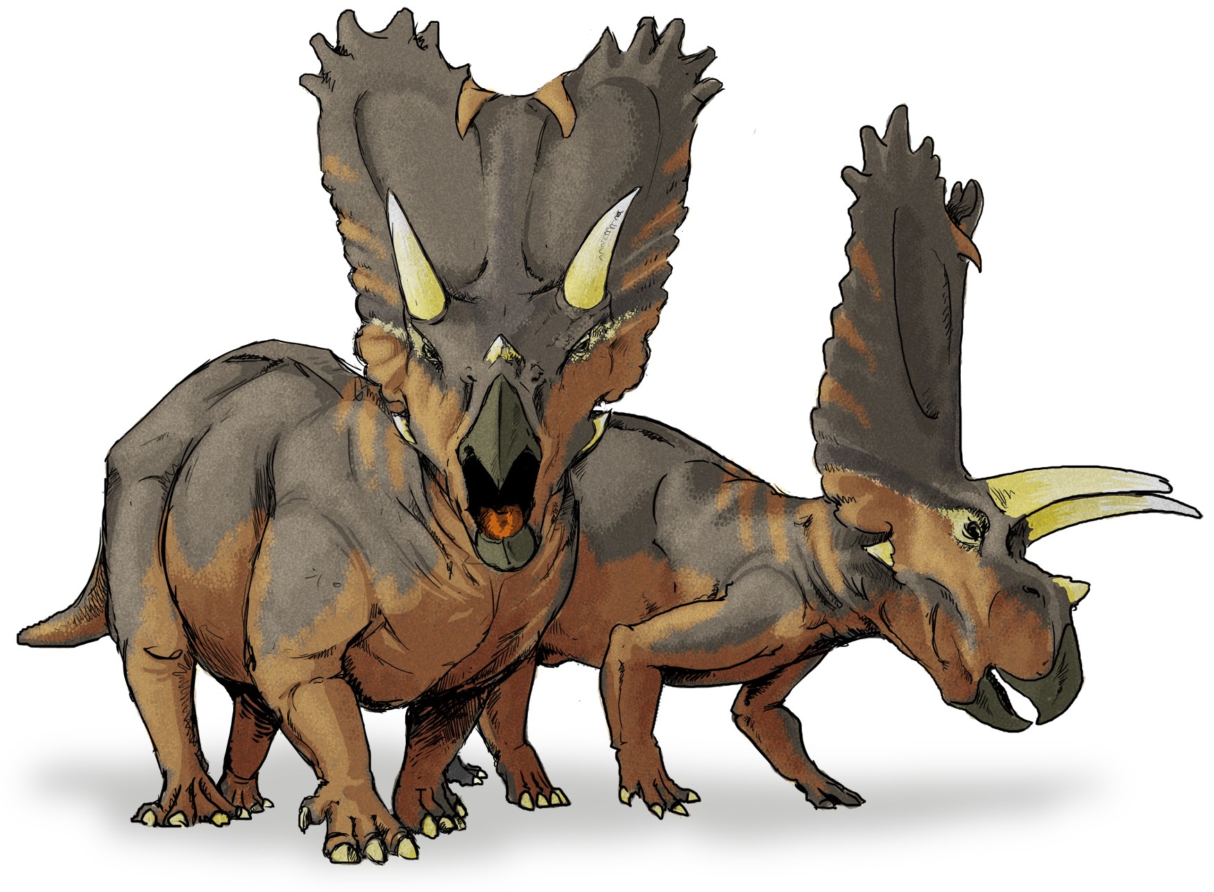 Two Triceratops dinosaurs