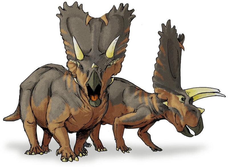 Two Triceratops Dinosaurs — Brown, Neutral