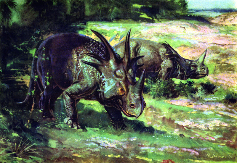 Two Triceratops in a forest