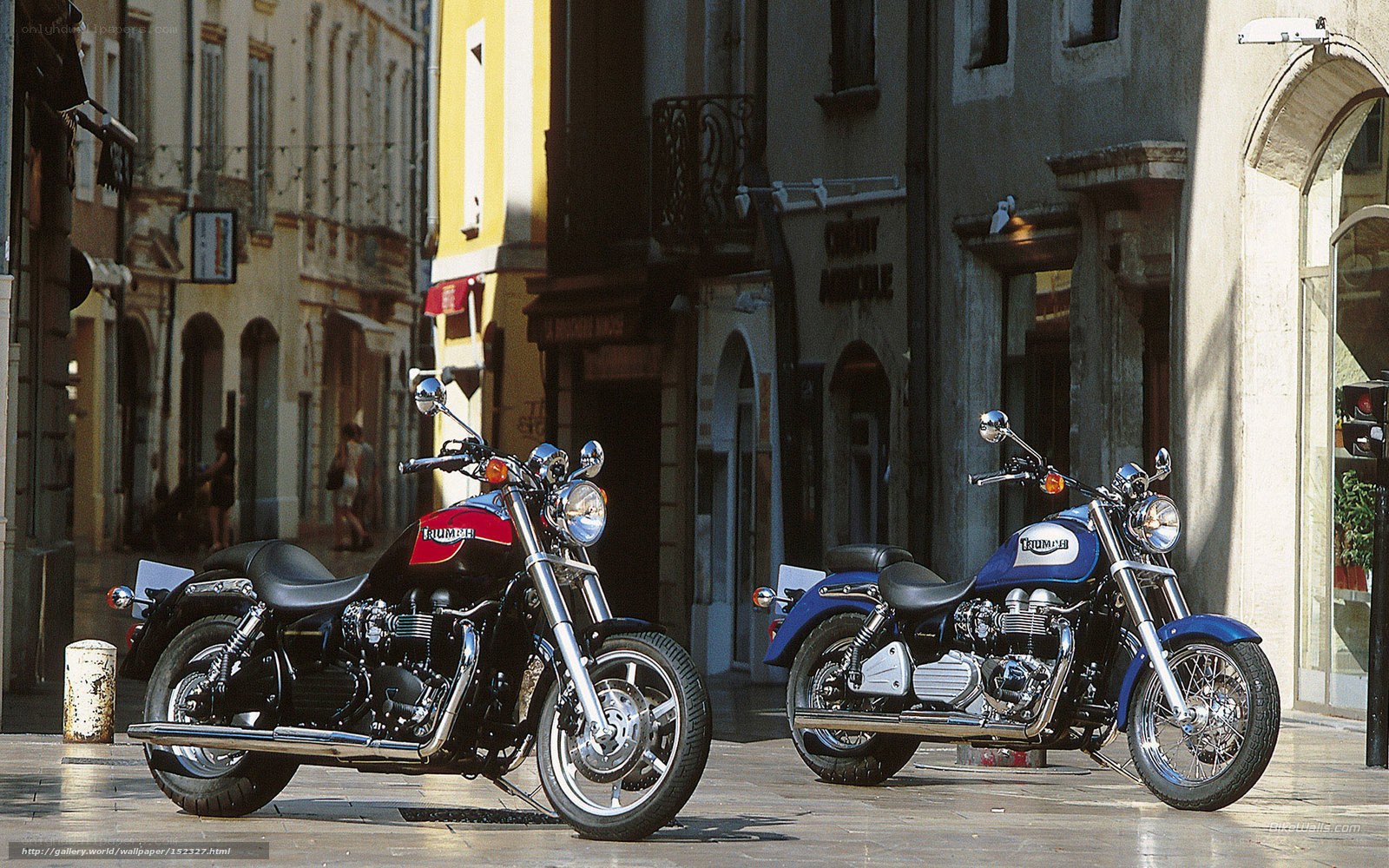 Two Triumph motorcycles on a street
