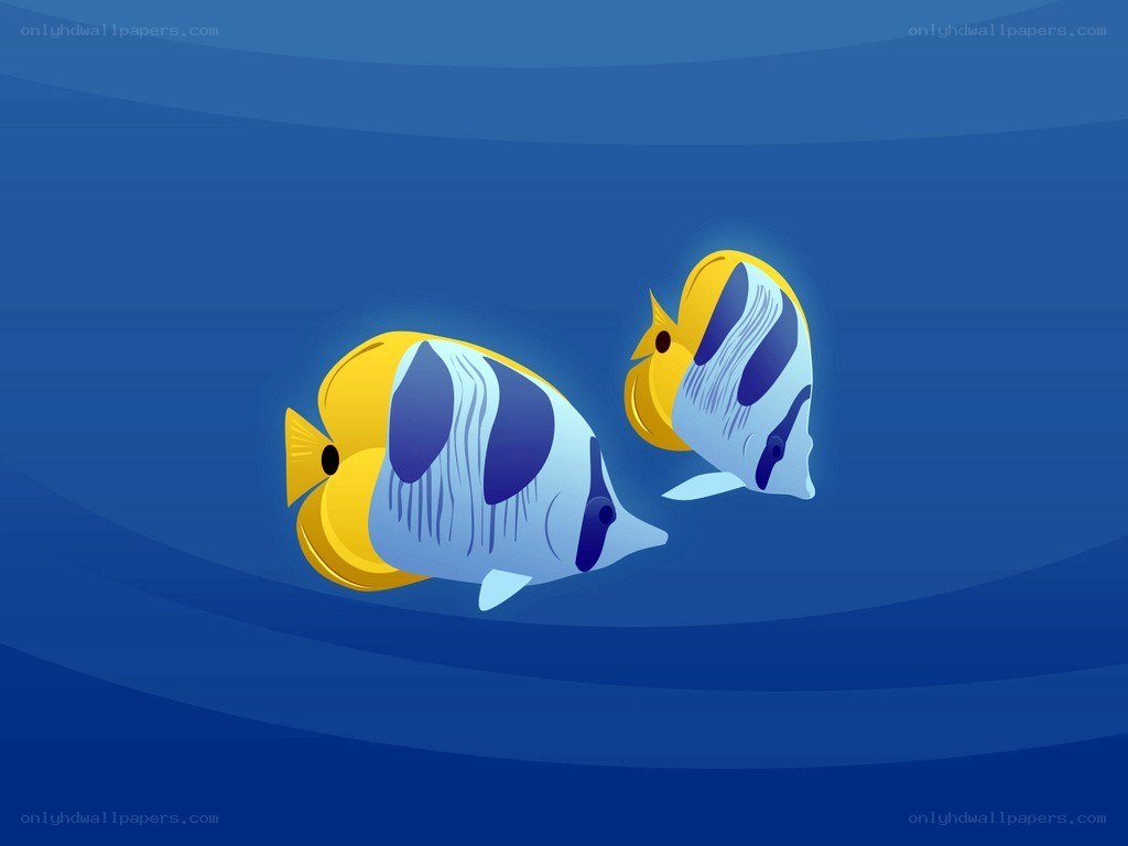 Two tropical fish swimming