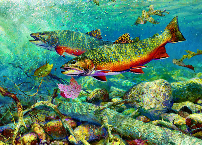 Two Trout Swimming